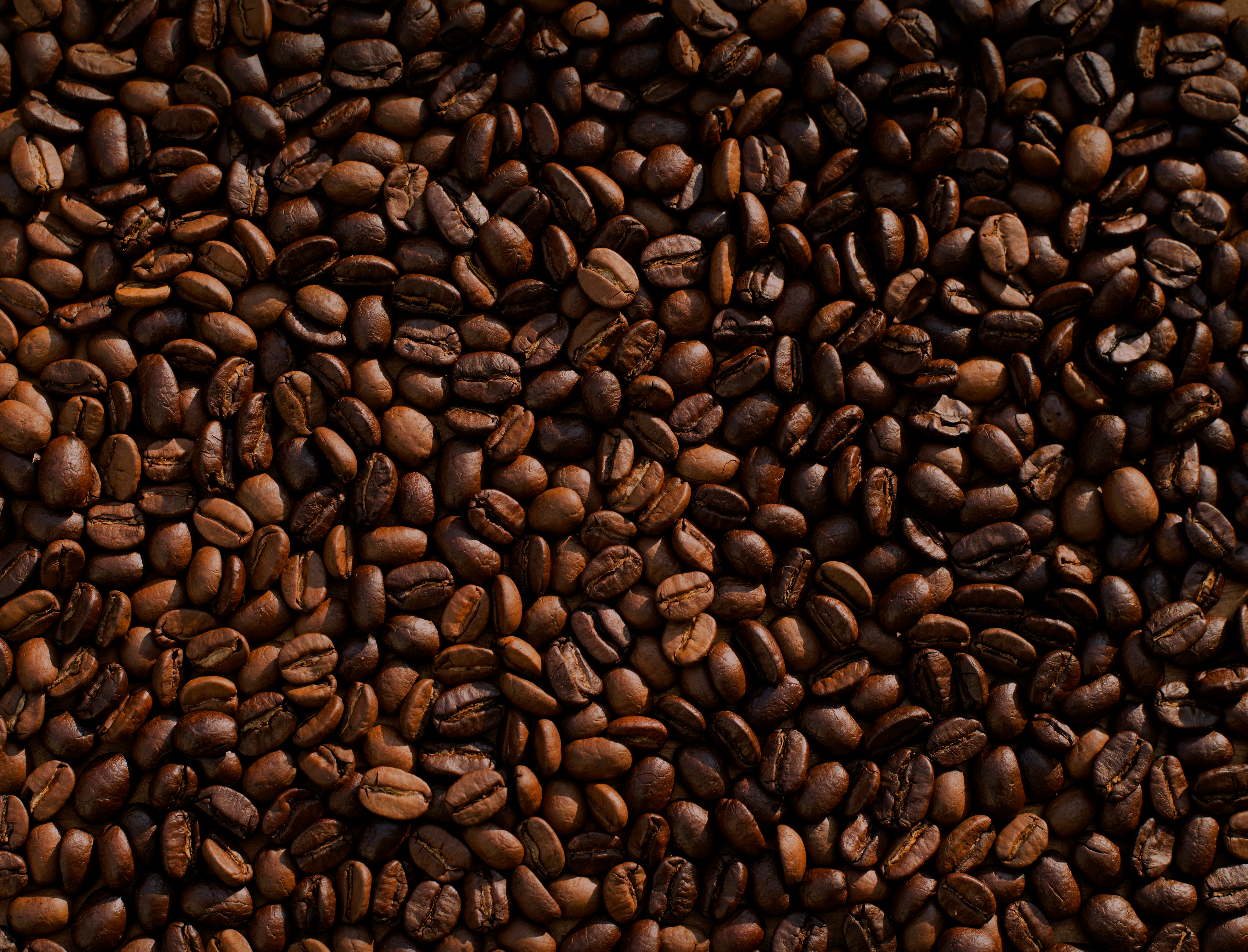 Coffee beans representing circular economy